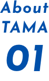 About TAMA 01