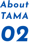 About TAMA 02
