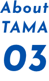 About TAMA 03