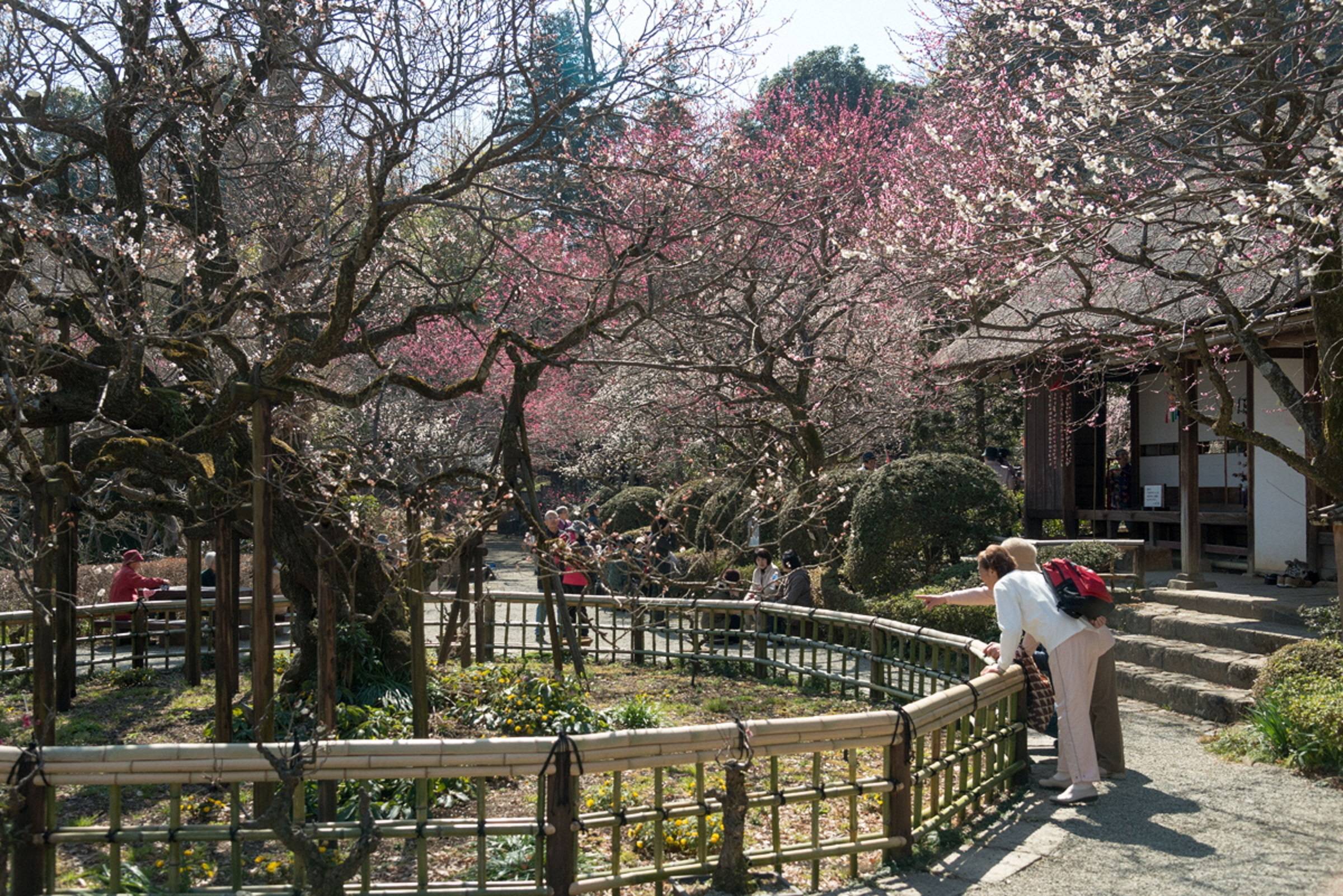 日野 概要写真