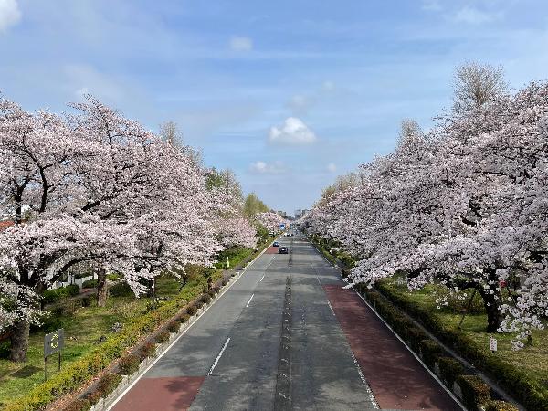 国立市 概要写真