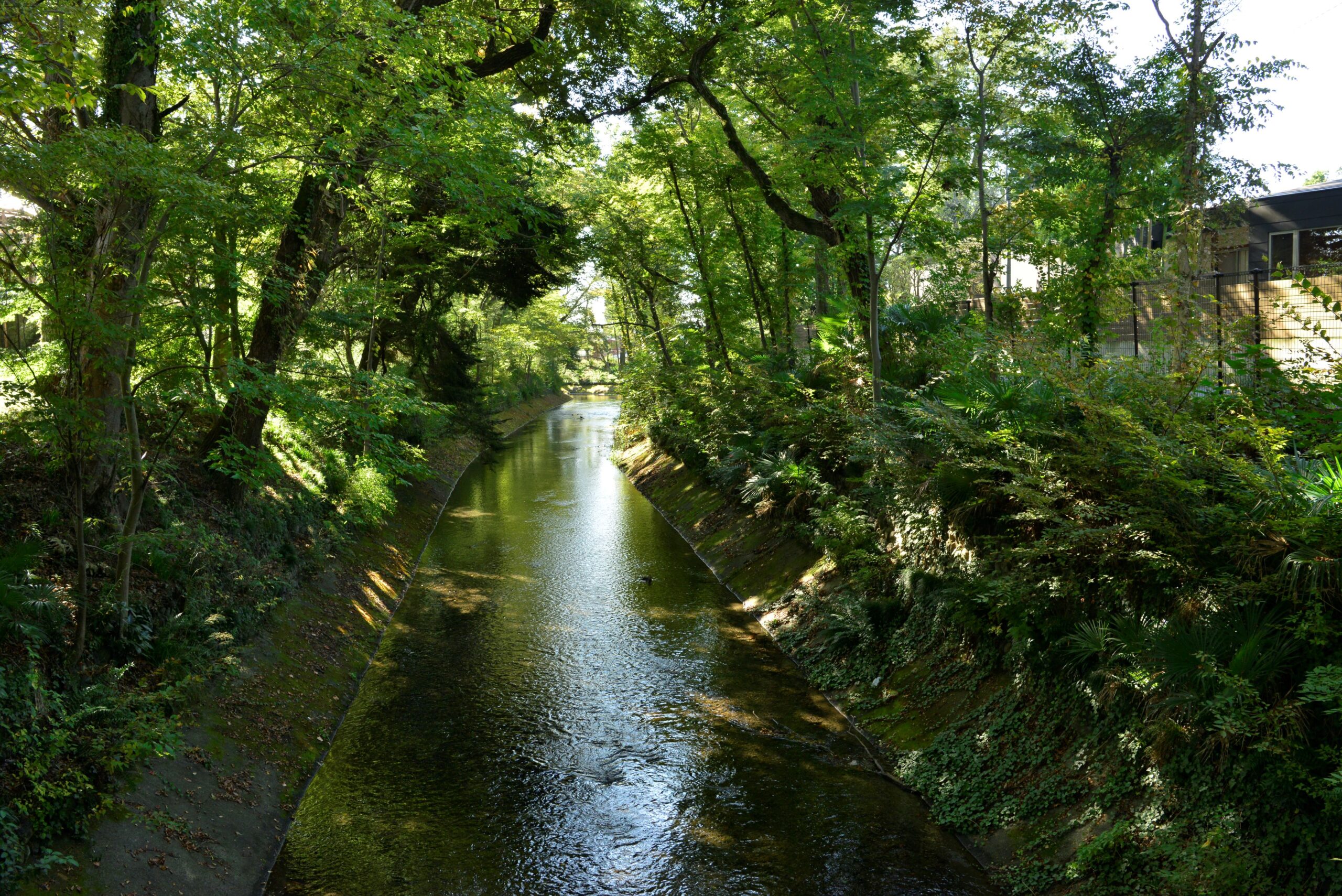 玉川上水