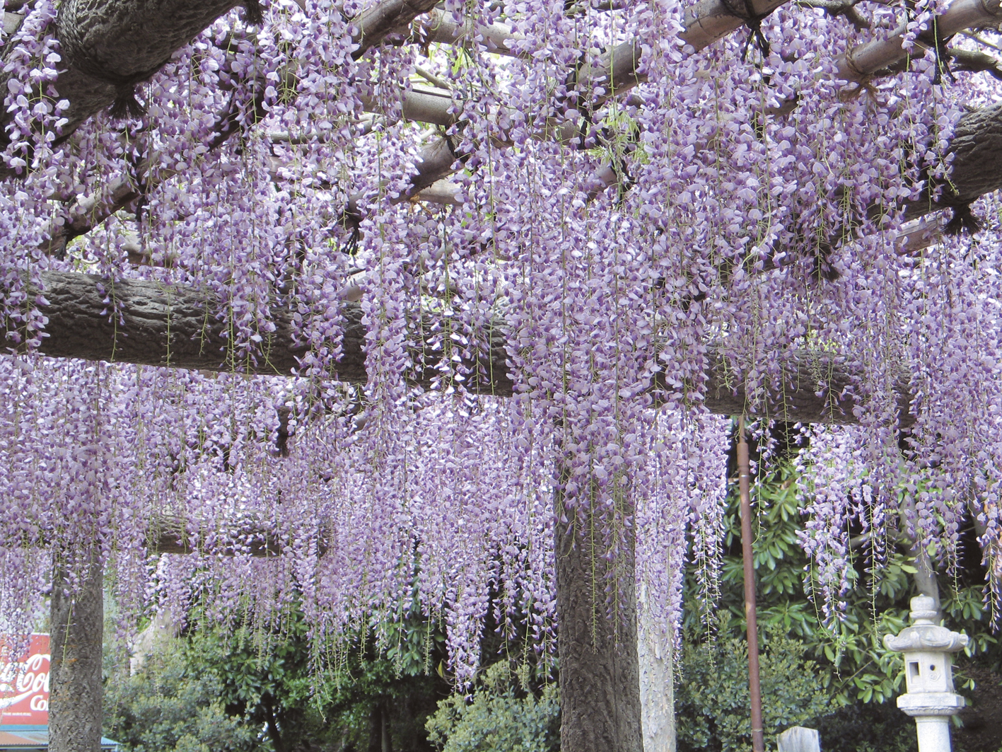 昭島市 概要写真