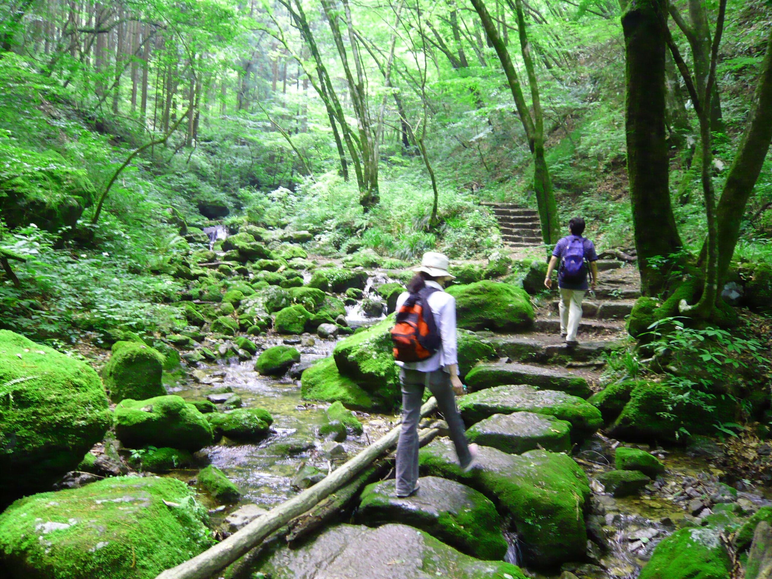 青梅市 概要写真