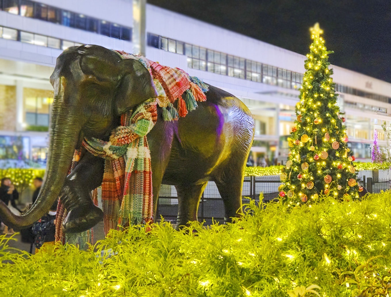 武蔵野市 概要写真