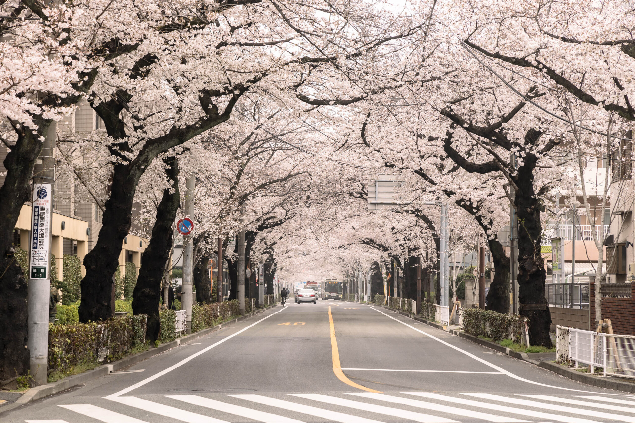 武蔵野市 概要写真